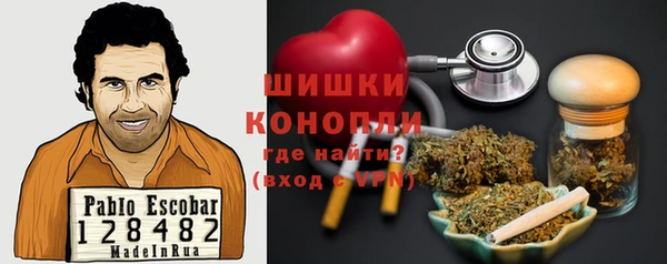 крисы Лагань