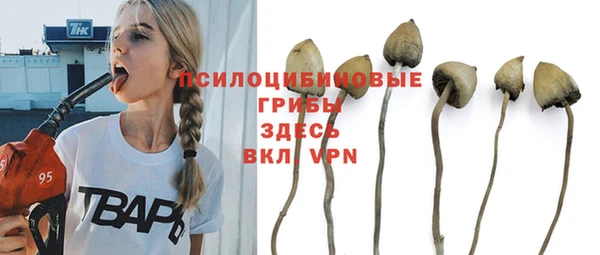 герыч Ладушкин