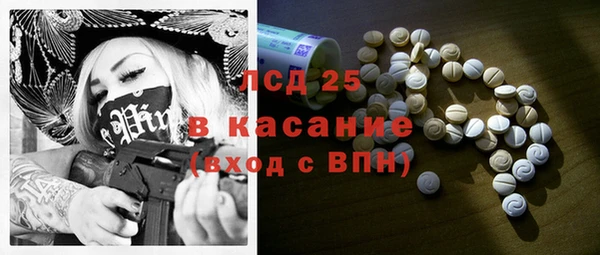 крисы Лагань