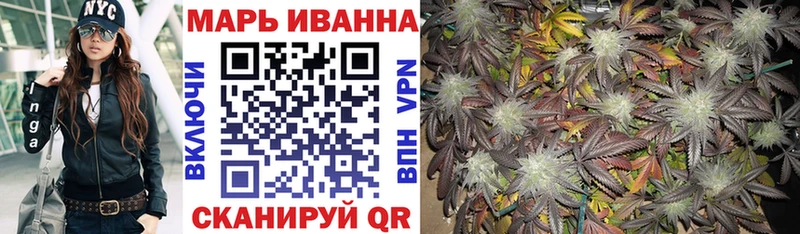 Конопля гибрид  Шацк 